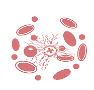 Plasma Therapy (PRP)